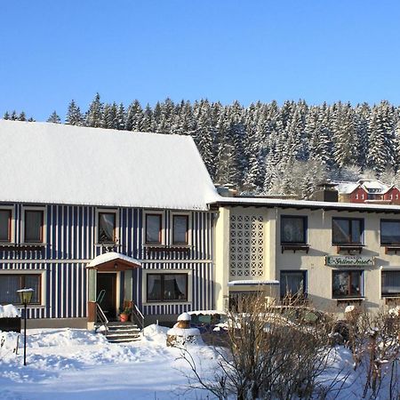 Haus Gruene Insel - Ferienwohnungen Altenau  Luaran gambar