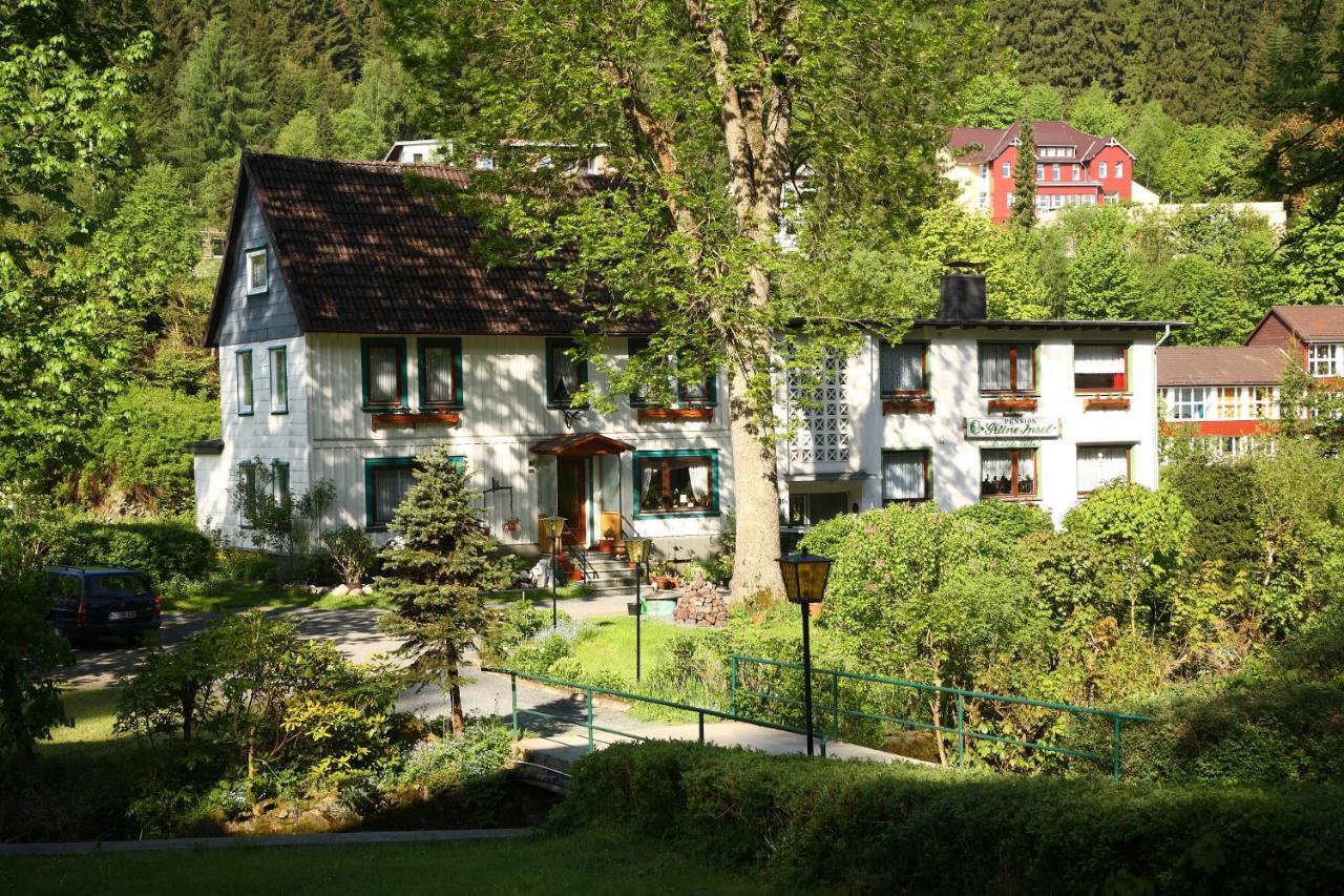 Haus Gruene Insel - Ferienwohnungen Altenau  Luaran gambar