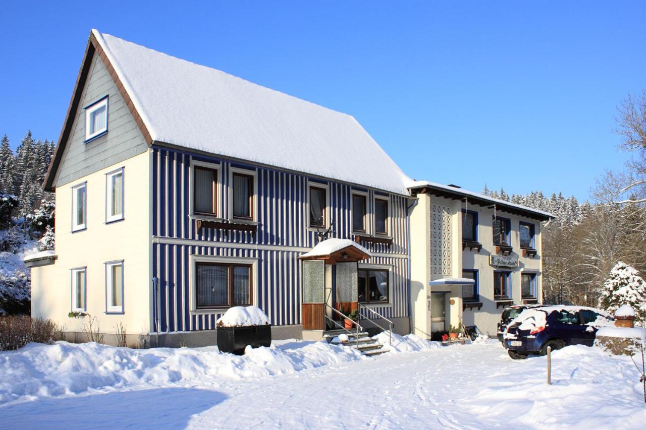 Haus Gruene Insel - Ferienwohnungen Altenau  Luaran gambar